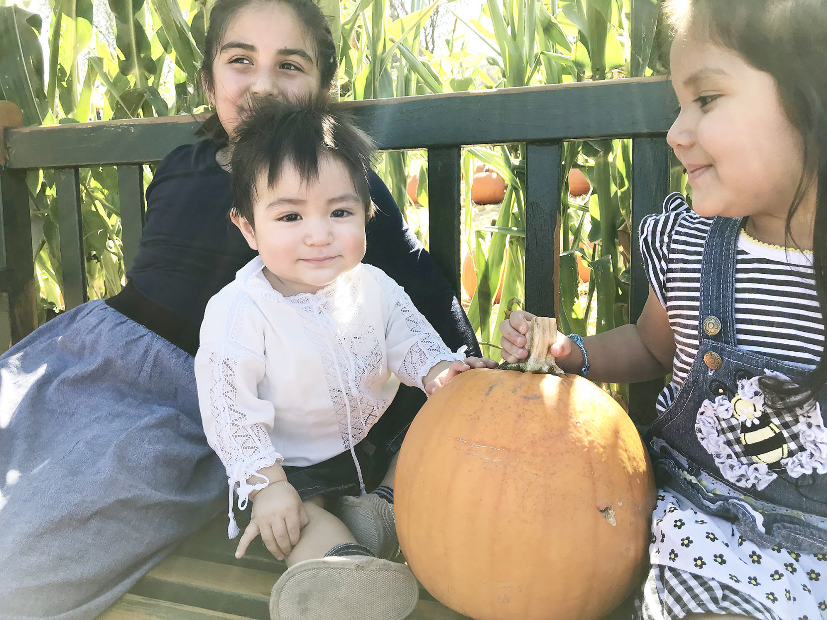 Pumpkin Patch